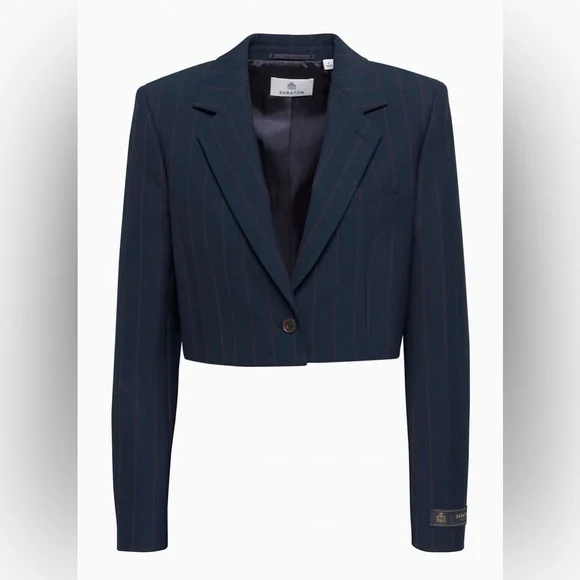 Aritzia Babaton Arbus Blazer - Picture 6 of 10